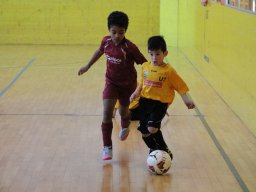 mini-IMG_6925